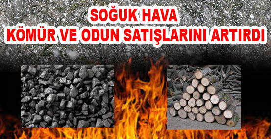 Niksar'da Kömür ve Odun Satışları Arttı