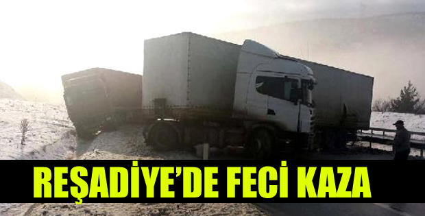 Reşadiye'de Can Pazarı