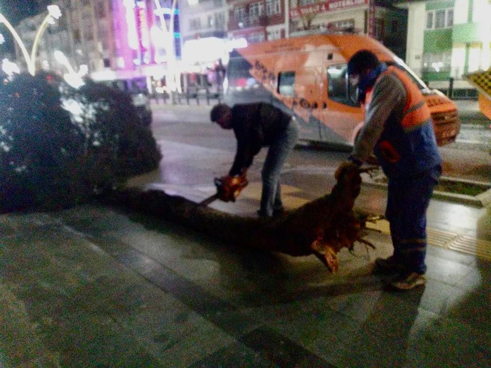 TOKAT VE İLÇELERİNDE FIRTINA