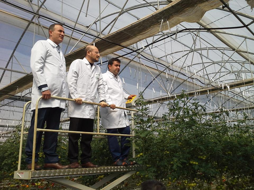 Termal Seracılık Çalışmaları