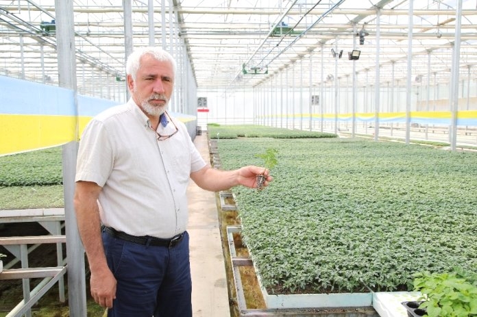 Tokat'ta Yerli ve Milli Tohum Projesine Önemli Destek