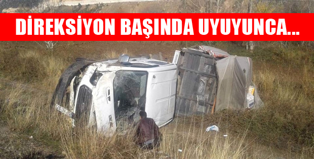 YOLDA UYUDU TARLADA UYANDI