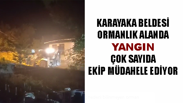 ERBAA KARAYAKA KASABASI ORMANLIK ALANDA YANGIN