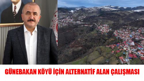 Güne bakan Köyü için alternatif konut alanlarıyla ilgili çalışıyor