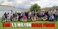 1.5 MİLYON SEBZE FİDESİ DAĞITILACAK