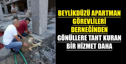 BEYLİKDÜZÜ APARTMAN GÖREVLİLERİ DERNEĞİNDEN 3 YILDIR SÜRE GELEN BİR GELENEK