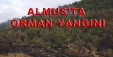 ALMUS'TA ORMAN YANGINI