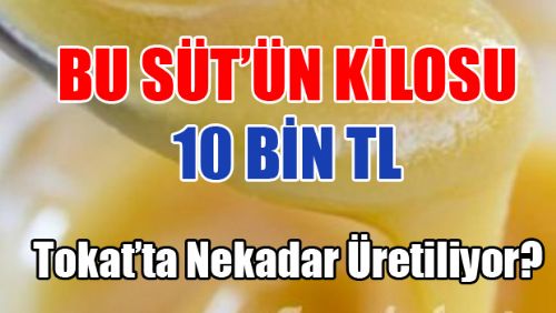 Arı Sütünün Kilosu 10 Bin Liradan Satılıyor