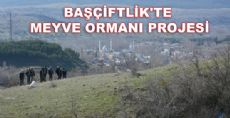 BAŞÇİFTLİK'TE MEYVE ORMANI PROJESİ