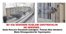 BU KIŞ GÜNÜNDE KUŞLARI UNUTMAYALIM NE DERSİNİZ