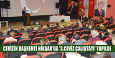 CEVİZİN BAŞKENTİ NİKSAR'DA 3.CEVİZ ÇALIŞTAYI YAPILDI