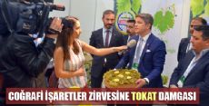 COĞRAFİ İŞARETLER ZİRVESİNE TOKAT DAMGASI