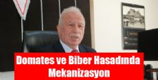 Domates ve Biber Hasadında Mekanizasyon