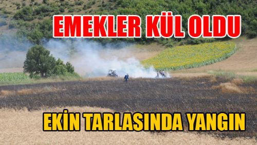 EKİN TARLASINDA YANGIN