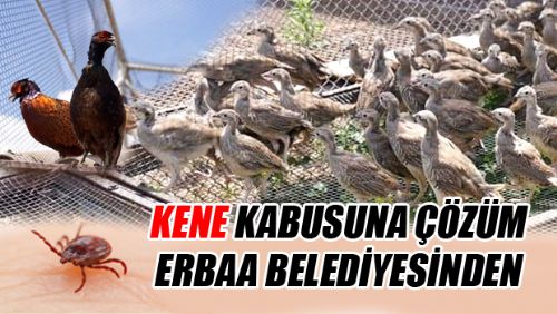 ERBAA BELEDİYESİ TESİSLERİNDEN KENELERLE MÜCADELE İÇİN YOLA ÇIKACAKLAR