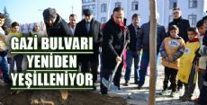 ERBAA GAZİ BULVARININ YENİ AĞAÇLARI DİKİLDİ