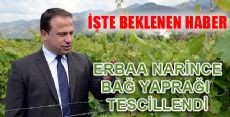 ERBAA NARİNCE BAĞ YAPRAĞI TESCİLLENDİ