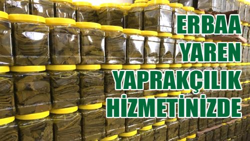 ERBAA YAPRAĞI MI ARIYORSUNUZ? YAREN YAPRAKÇILIK HİZMETİNİZDE