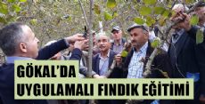 ERBAA ZİRAAT ODASI BAŞKANLIĞI EĞİTİMLERİ