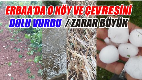 ERBAA'DA TARIM ARAZİLERİ DOLUDAN ZARAR GÖRDÜ