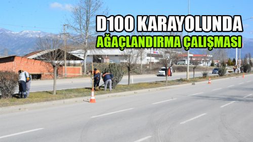 Erbaa Belediyesinden D-100 karayoluna fidan dikimi