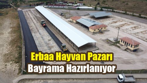 Erbaa Hayvan Pazarı Bayrama Hazırlanıyor