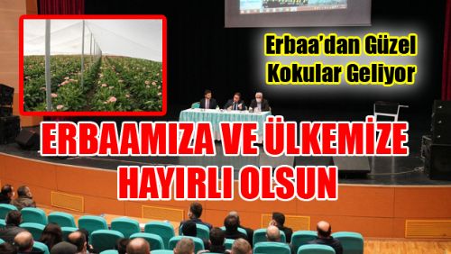 Erbaa Kesme Çiçek Organize Üretim Bölgesi Hayırlı Olsun