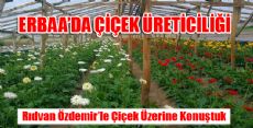 Erbaa'da Çiçek Yetiştiriciliği