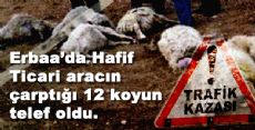 Erbaa'da Hafif Ticari aracın çarptığı sürüde 12 koyun telef oldu.