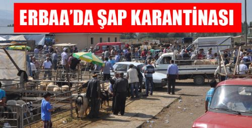 Erbaa'da Hayvan Pazarı Kapatıldı