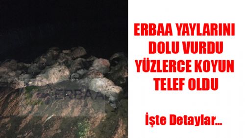 Erbaa'da Şiddetli Yağmur ve Dolu Yüzlerce Koyunu Telef Etti