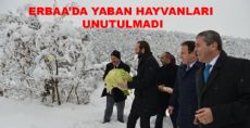 Erbaa'da Yaban Hayvanları Unutulmadı