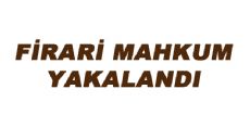 FİRARİ MAHKUM YAKALANDI