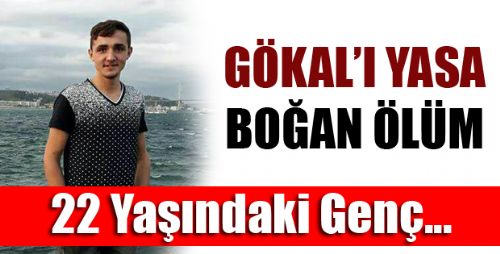 Gökallı Gençten ACI HABER