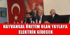 HAYVANSAL ÜRETİM OLAN YAYLAYA ELEKTRİK GİDECEK