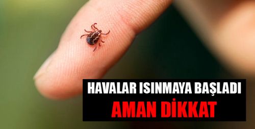 Havalar Isınmaya Başladı, Keneler Hareketlendi