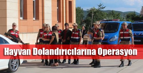 Hayvan Dolandırıcılığı Operasyonunda 13 Gözaltı