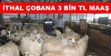 İTHAL ÇOBAN'A 3 BİN TL MAAŞ