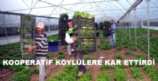 KOOPERATİF KÖYLÜLERİN YÜZÜNÜ GÜLDÜRDÜ