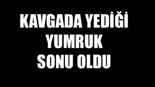 Kavgada yediği yumruk sonu oldu