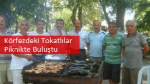 Körfezdeki Tokatlılar Piknikte Buluştu