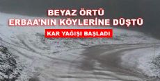 Köylerde Kar Yağışı Başladı