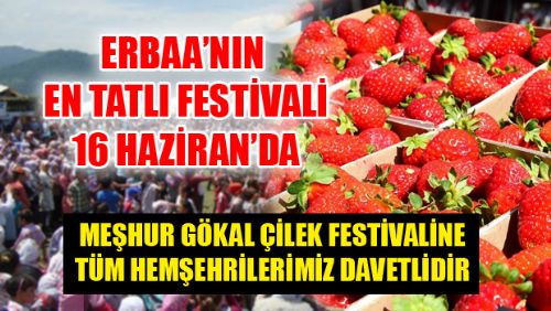 MEŞHUR GÖKAL ÇİLEK FESTİVALİ 16 HAZİRAN'DA