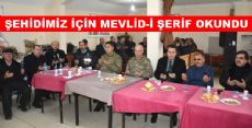 NİKSAR'DA ŞEHİDİMİZ İÇİN MEVLİD-İ ŞERİF OKUNDU