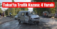 Niksar'da Kaza