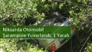 Niksarda Otomobil Şarampole Yuvarlandı, 1 Yaralı