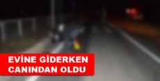 Niksar'da Trafik Canavarı