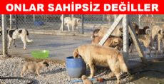 ONLAR SAHİPSİZ DEĞİLLER