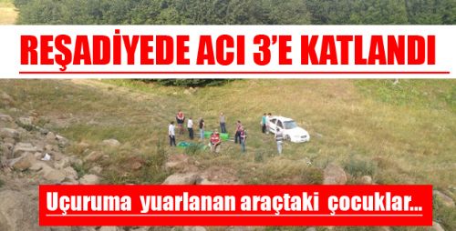 Reşadiye'de  Feci Kaza