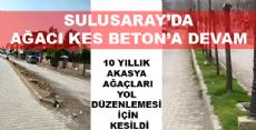 SULUSARAY'DA  AKASYA'LAR SAHİPSİZ KALDI